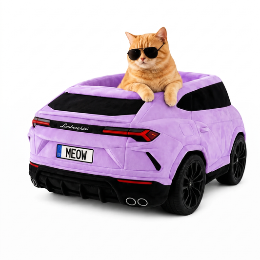 PurrLane™ Wall Cruiser Bed